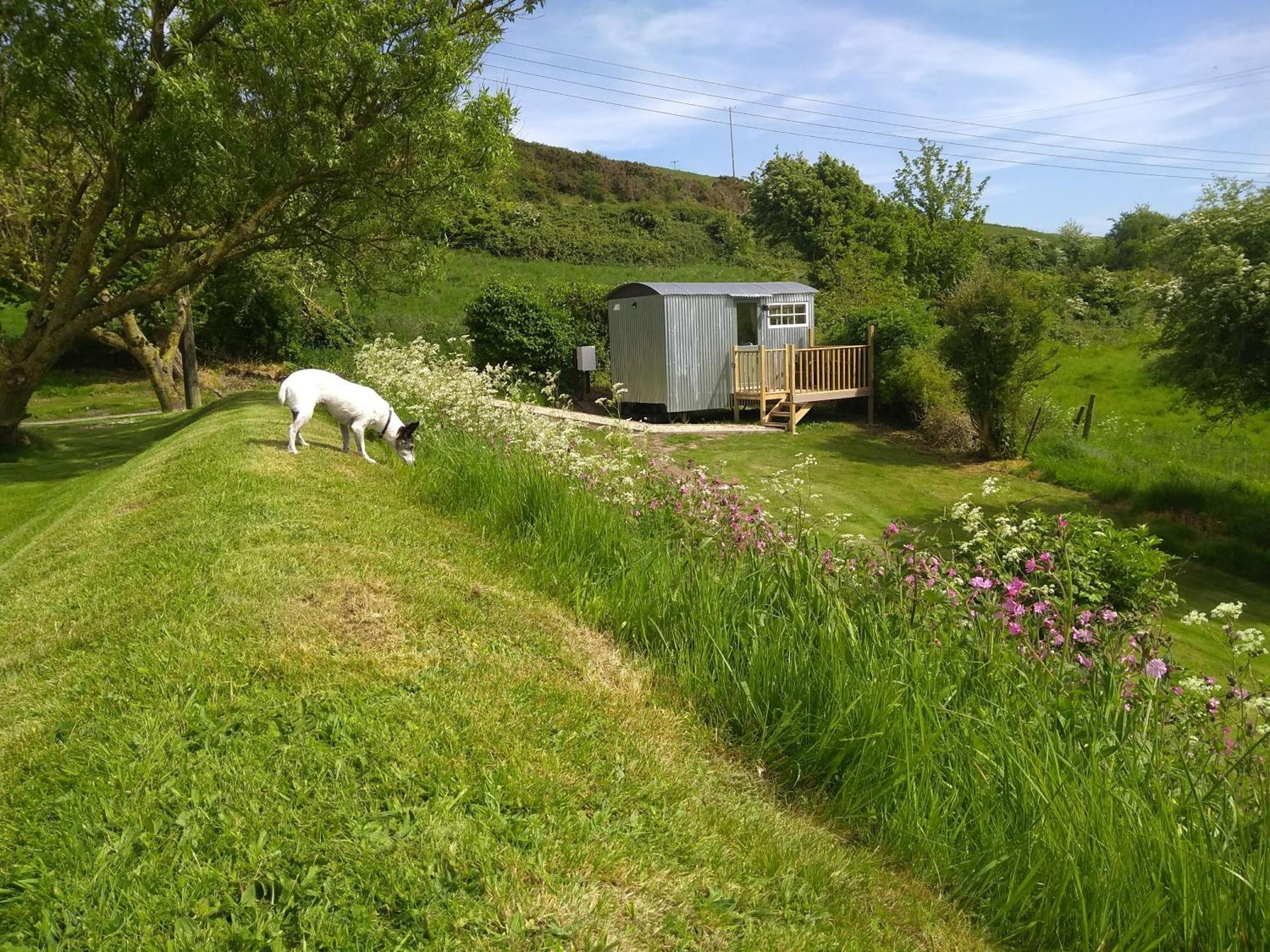 Shepherds Hut Weymouth Eksteriør bilde